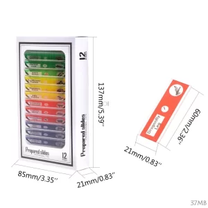 Kit com 12 lâminas preparadas para microscópio